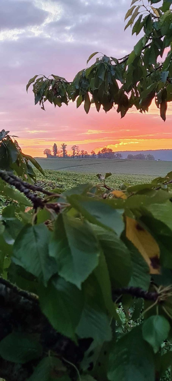 Coucher de soleil Champagne