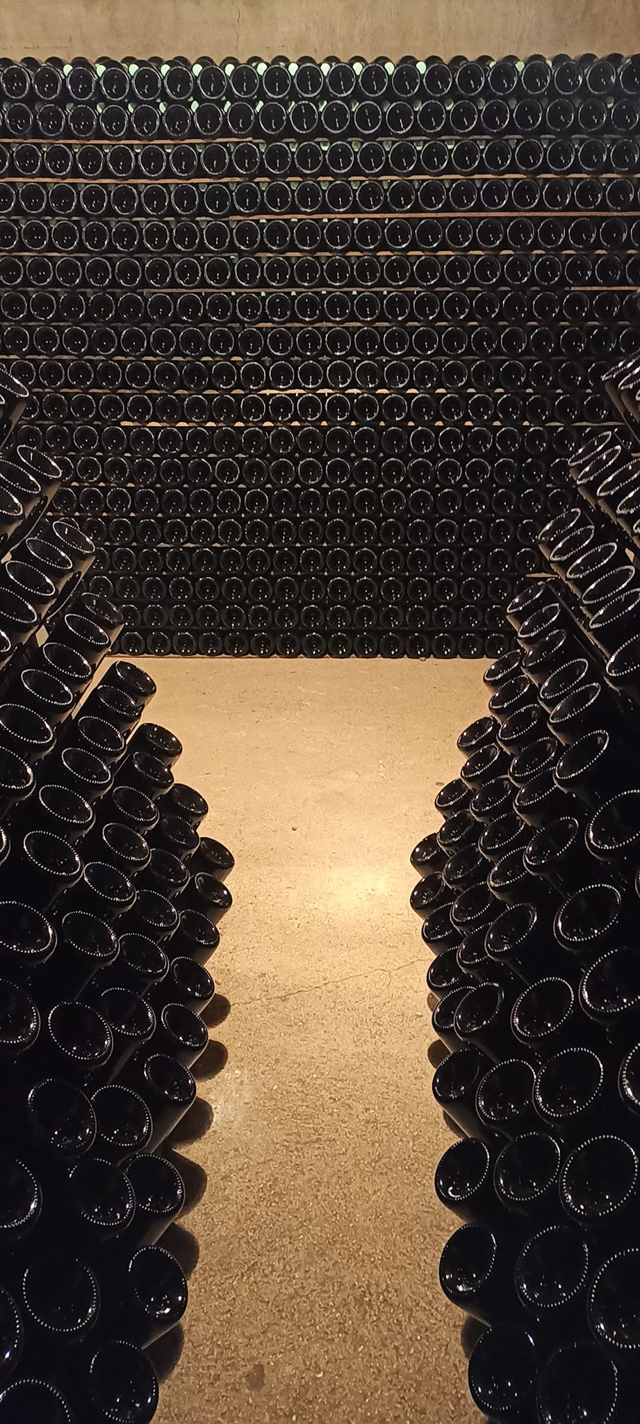 Cave Champagne Mignon Mignon