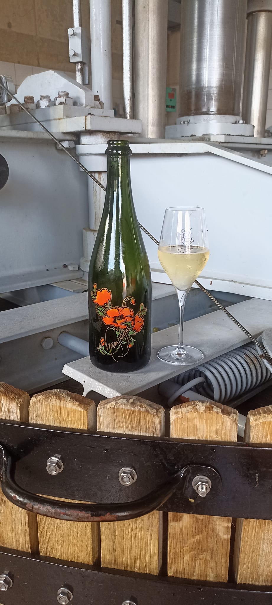 Champagne Fleur Mignon Mignon